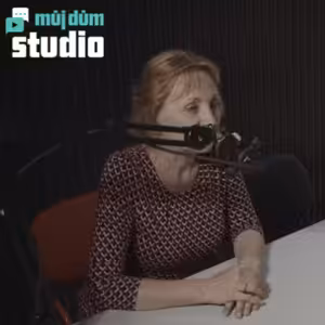 Dům ve svahu: Jaké jsou výhody a nevýhody