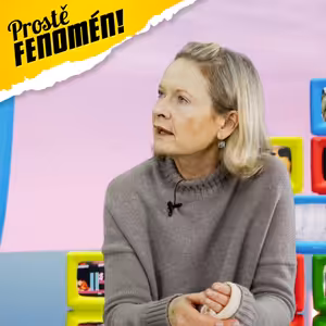 ALENA POLEDŇÁKOVÁ: Simpsonovi zní v češtině barvitěji než originál, Sex ve městě byl zjevení.