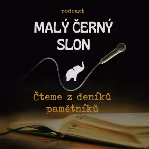 Malý černý slon