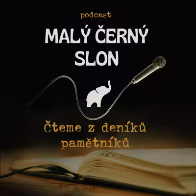Malý černý slon