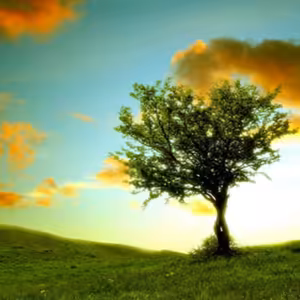 Dopoludnie na Infovojne s Adrianom 18.7.2023