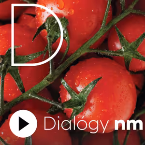 Bezpečnosť potravín v lete: Nechať ich v aute a ísť do iných obchodov nie je dobrý nápad