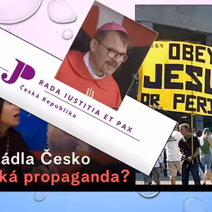 S Bohem proti demokracii?