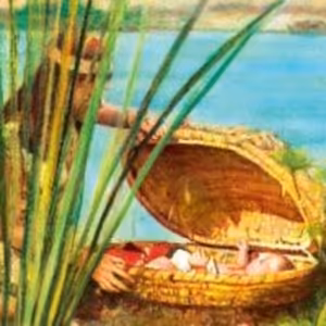 25.12.2023 1.slávnosť Vianočná (2M 2,1-10) kázeň Poprad