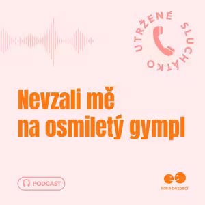 Nevzali mě na osmiletý gympl