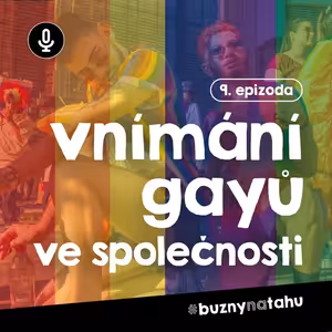 #09 Vnímání gayů ve společnosti