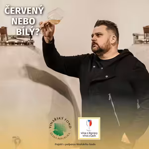 035: Karel Novotný o cestě k titulu Enologa roku, hledání vinařské inspirace a terroir na Moravě