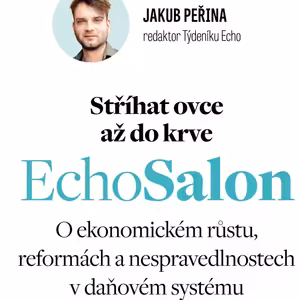 Stříhat ovce až do krve. O ekonomickém růstu, reformách a nespravedlnostech v daňovém systému