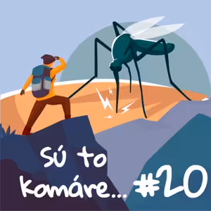 Komáre, náš letný nepriateľ s nemilými darčekmi