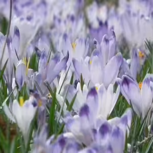 Utorok po 3. pôstnej nedeli