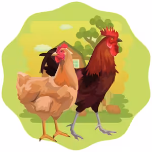 O kohoutkovi a slepičce