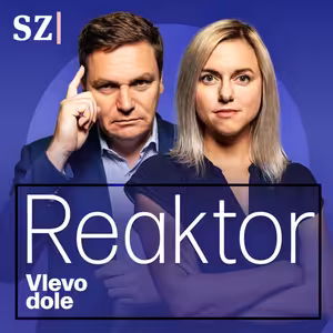 Reaktor: Piráti nevědí, jestli hasit, nebo vyskakovat oknem