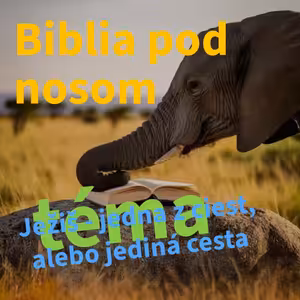 Biblia pod nosom - Ježiš jediná cesta?