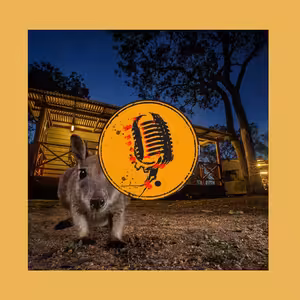 Podcast s fotografem Igorem Mikulou