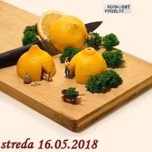 Verejné tajomstvá 195 - 2018-05-16 Zdravá strava 20/2018