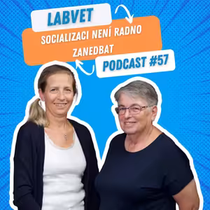 LABVET Podcast #57 - Socializaci není radno zanedbat