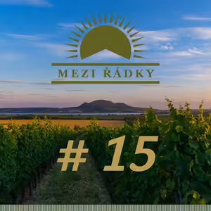 #15 O punku na michelinské úrovni