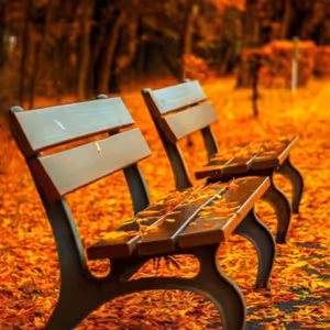 Dopoludnie na InfoVojne s Adrianom 29.9.2025