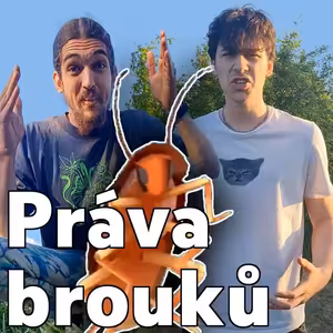 Rovná práva pro brouky