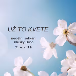 Už to kvete (Skutky, část 13)