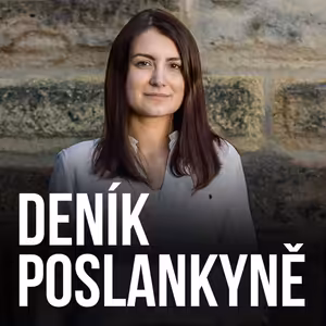 Deník Poslankyně #1: začátek, Bulánek a taky krátce o redefinici znásilnění