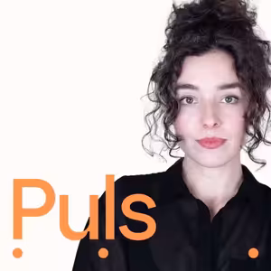 Největší fandom? Swifties. Politiku zatím nemění, i když popem prorůstá