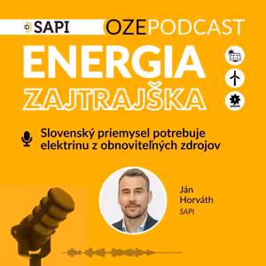 Slovenský priemysel potrebuje elektrinu z obnoviteľných zdrojov
