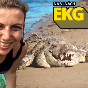 Pokusila se spáchat sebevraždu v Nikaragui. Proč se jí to nepovedlo? 🐊