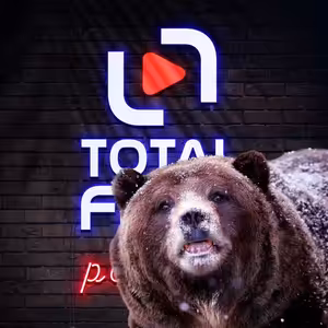 Medvěd na koksu je zábavné béčko, medvědí službu mu ale dělá režisérka | Recenze do uší