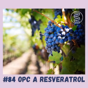 #84 OPC A RESVERATROL / longevity, mitochondrie, sirtuiny, NAD+, mikrobiom, játra, hubnutí, testosteron, krvetvorba, regenerace, mentální výkonnost, akné, menopauza, akné, sportovní výkonnost