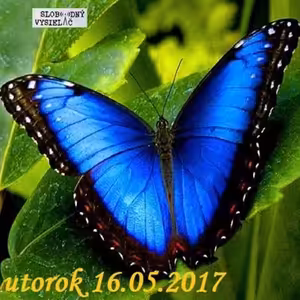 Finančné zdravie 32 - 2017-05-16 Život je zmena…