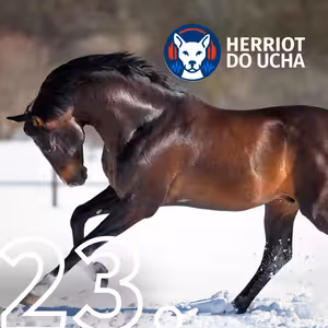 #23 Když máte koně v srdci 🐎 - MVDr. Libor Podojil