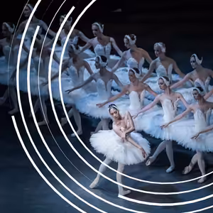 K jádru věci: LABUTÍ JEZERO