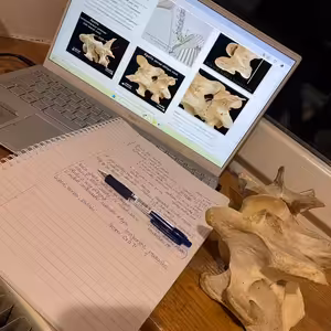 Apollův příběh - třetí část