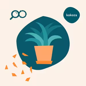 S Kokozou o zeleni ve městech - porazíme klimatickou krizi jen tím, že budeme sázet?