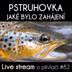 Přívlač Live #82 - Pstruhové zahájení - bylo to velký!