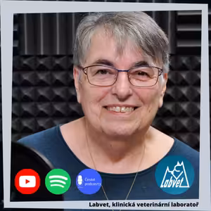 Ranou socializaci není radno zanedbat