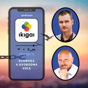 Svoboda a svobodná vůle