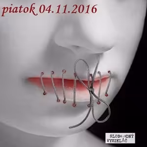Verejné tajomstvá 61 - 2016-11-04 Sloboda slova, nezmyselné zákazy a humor, ako korenie života...