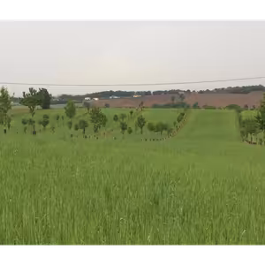 Rozhovor s Ing. Velémem Jurkem