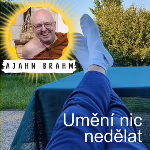 Umění nic nedělat 🧘♀️| Ajahn Brahm | 31.12.2016