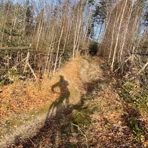 Vážená cyklistická branže, udělejte takovéhle elektrokolo