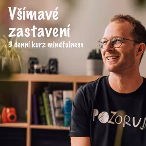 Všímavé zastavení