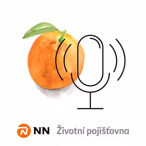 Jak fungují výluky na pojistných smlouvách a které jsou nejčastější?