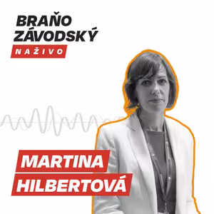 Hilbertová z TIS: Strany minú na kampaň viac, ako v minulých voľbách. Zrejme presiahnu 23 miliónov