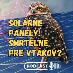 Solárne elektrárne zabijú 10 vtákov za rok na 1 MW. Ako je to s inými zdrojmi energie?