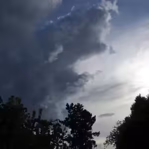 Vlákna Stvoření – živé vysílání