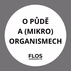 Svět pod povrchem očima půdního biologa