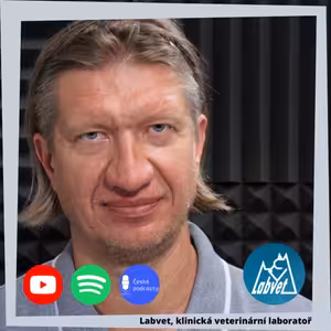 Jak se dělá e-shop pro psy