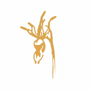 Podcast o temnotě s Calypso (2. díl)